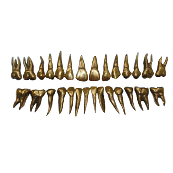 UM-D13 Морфология металлических зубов